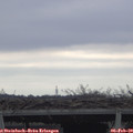 10_45-mast.jpg