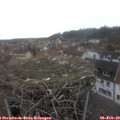 10_50-nest.jpg