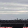 11_00-mast.jpg