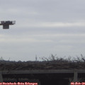 11_10-mast.jpg