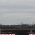 11_15-mast.jpg