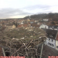 11_15-nest.jpg