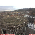 11_20-nest.jpg