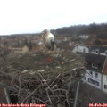12_05-nest.jpg