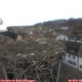 12_30-nest.jpg