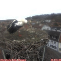 12_55-nest.jpg