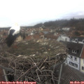 13_10-nest.jpg