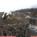 13_15-nest.jpg