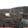 13_30-nest.jpg