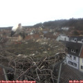 13_40-nest.jpg