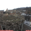 13_45-nest.jpg