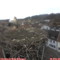 14_00-nest.jpg