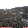 14_05-nest.jpg