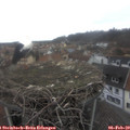 14_10-nest.jpg