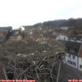 14_15-nest.jpg