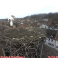 14_30-nest.jpg