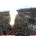 14_35-nest.jpg
