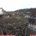 14_55-nest.jpg