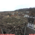 15_10-nest.jpg