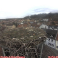 15_15-nest.jpg