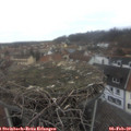 15_30-nest.jpg