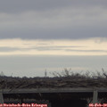 16_05-mast.jpg