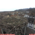 16_05-nest.jpg