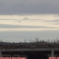 16_10-mast.jpg