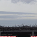 16_20-mast.jpg