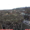 16_20-nest.jpg