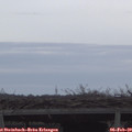 16_30-mast.jpg