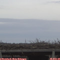 16_35-mast.jpg