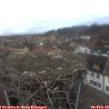 17_10-nest.jpg
