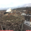 07_55-nest.jpg