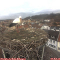 08_00-nest.jpg