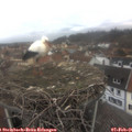 08_15-nest.jpg