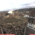 08_20-nest.jpg