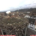 08_25-nest.jpg