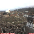 08_30-nest.jpg