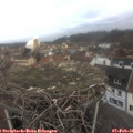 08_35-nest.jpg