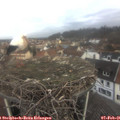 08_40-nest.jpg
