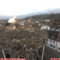 09_00-nest.jpg