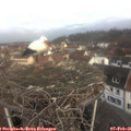 09_05-nest.jpg