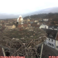09_10-nest.jpg