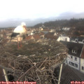09_15-nest.jpg