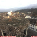 09_20-nest.jpg