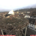 09_25-nest.jpg