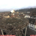 09_30-nest.jpg