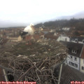 09_40-nest.jpg