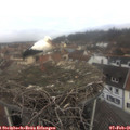 09_45-nest.jpg